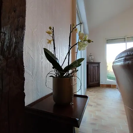 Ferienhaus Maison Serra 4 Etoiles Avec Piscine Privee, Dependance Le Vigan (Lot)